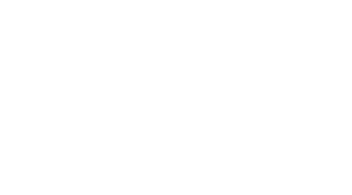 logo-slyouitalia.png